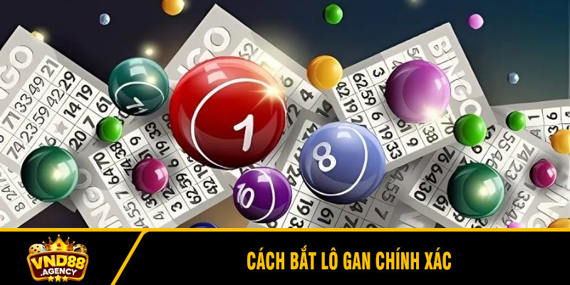 Cách Bắt Lô Gan Chính Xác