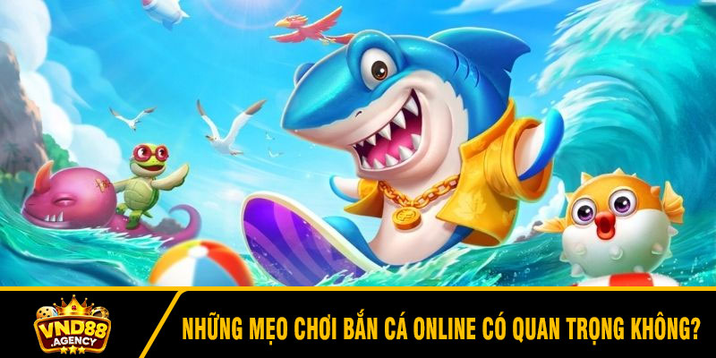 Những mẹo chơi bắn cá online có quan trọng không?