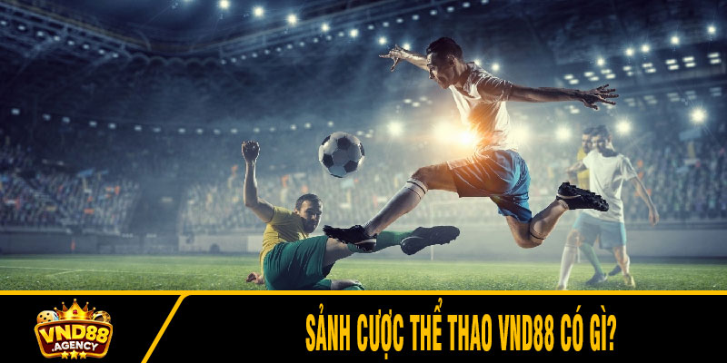 Sảnh cược thể thao VND88 có gì?
