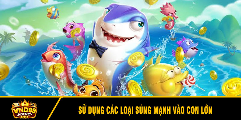 Sử dụng các loại súng mạnh vào con lớn