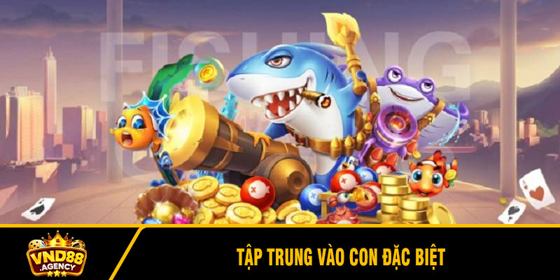 Tập trung vào con đặc biệt