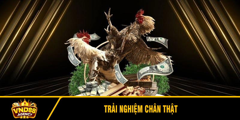 Trải nghiệm chân thật